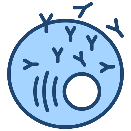 Oxygen absorbed into blood plasma